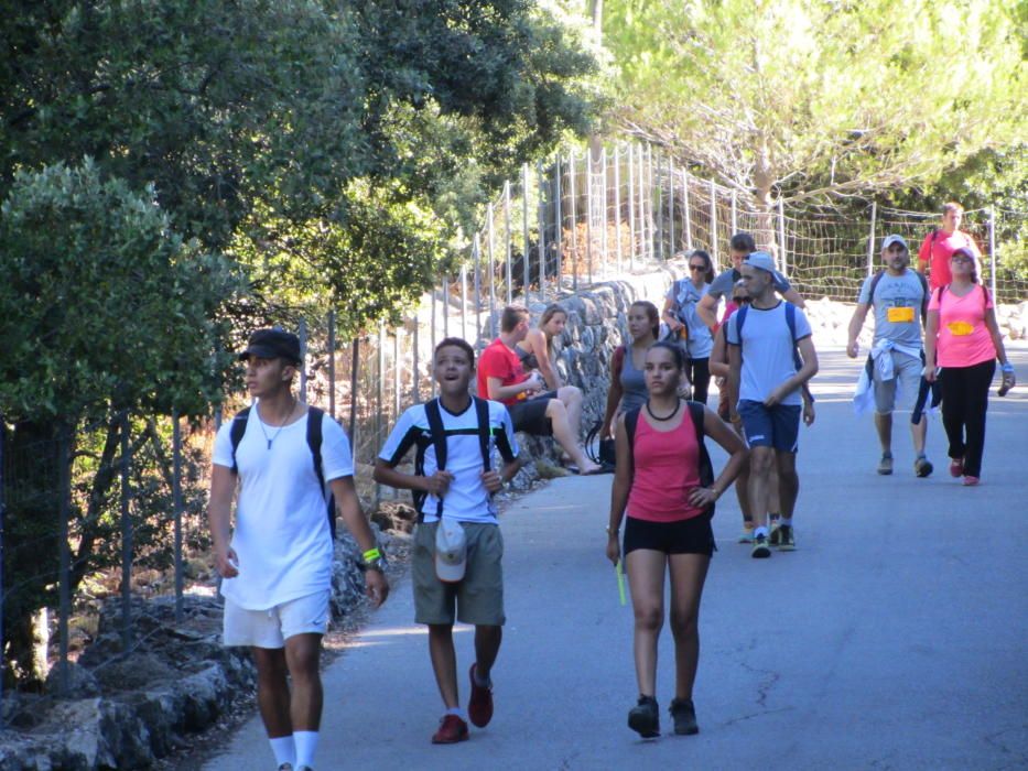 43 edición de la marcha Des Güell a Lluc a peu