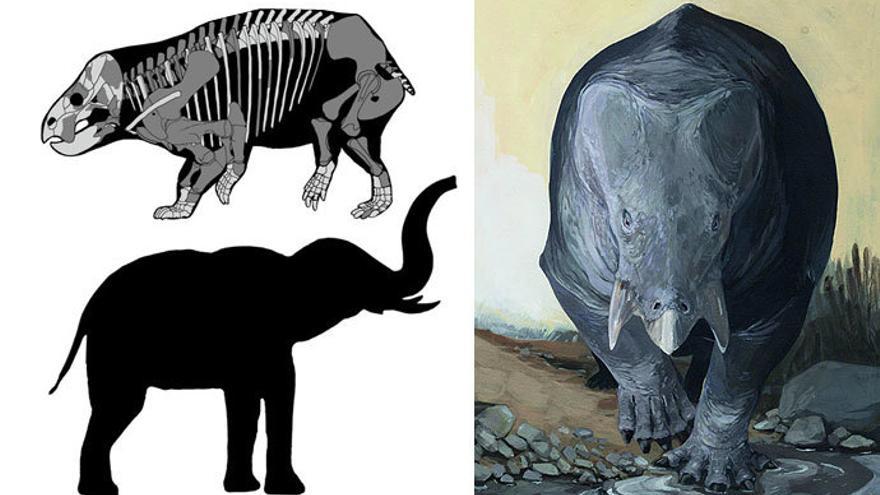 Descubren una nueva especie de mamífero gigante que convivió con los dinosaurios - La Opinión de A Coruña Descubren una nueva especie de mamífero gigante que convivió con los dinosaurios - La Opinión de A Coruña