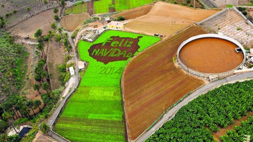 Vista aérea de la tarjeta de navidad de la empresa Leyco, propiedad de Víctor Pérez y Félix Díaz ubicada en El Hinojal, en la carretera Arucas-Bañaderos.