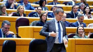 Alberto Nuñez Feijóo  y Pablo Bustinduy   durante el Pleno del Congreso  de Reforma del artículo 49 de la Constitución Española.