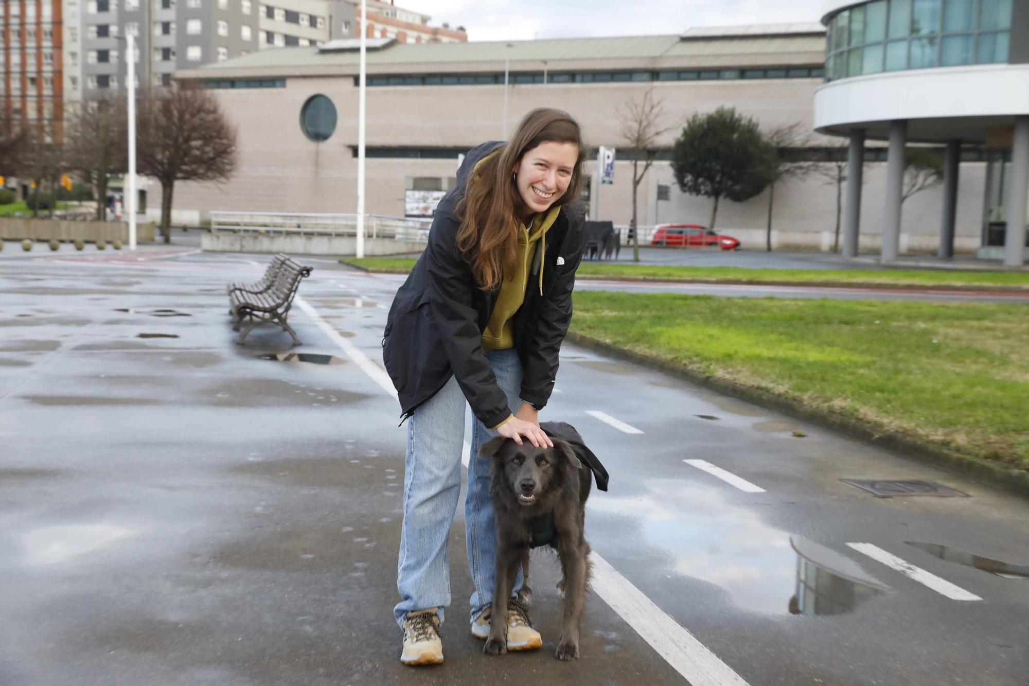 Una tendencia canina asumida en Gijón (en imágenes)