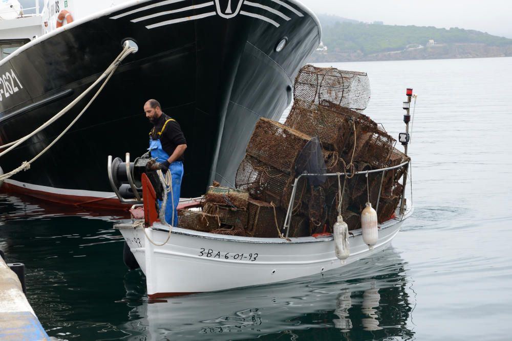 Retirada estris de pesca el Port de la Selva