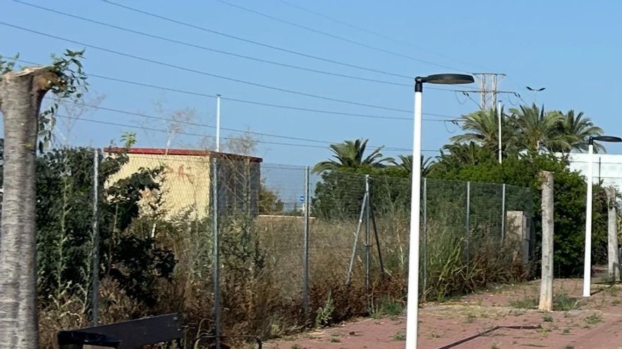 Guanyem SAB denuncia la &quot;mutilación&quot; de árboles en la calle Sarset por parte de la red de transporte eléctrico
