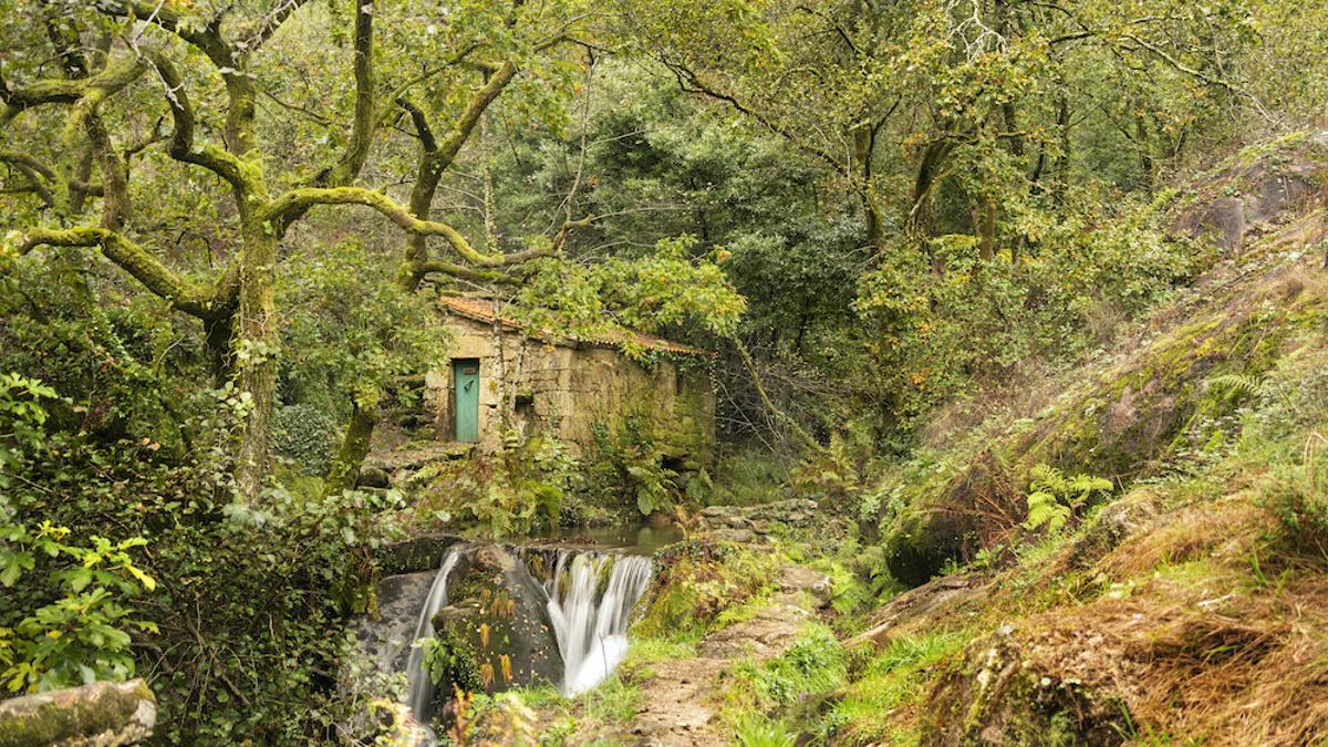 Los molinos del Río Tripes o el Parque del Monte Aloia ofrecen la oportunidad perfecta para disfrutar de la naturaleza esta Semana Santa.