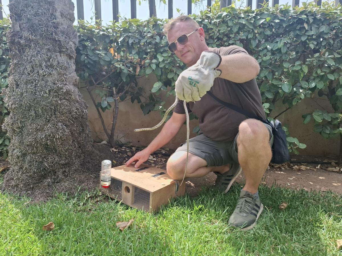 A la caza de la serpiente en Diario de Ibiza