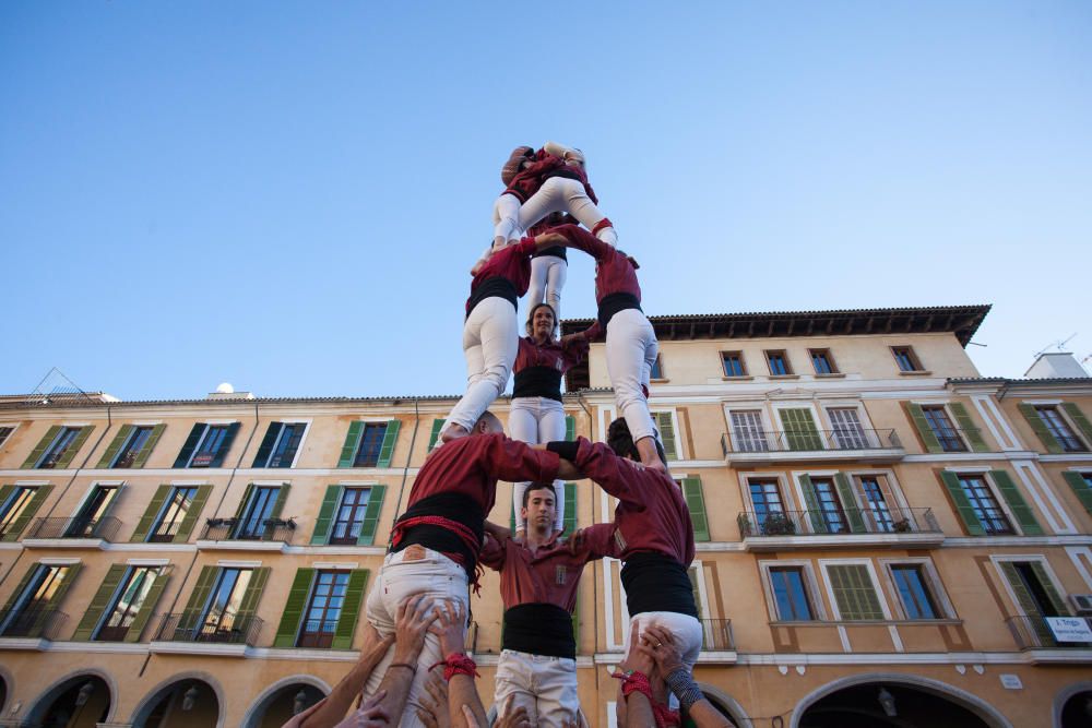 Los derechos civiles marcan la diada de la Obra Cultural Balear