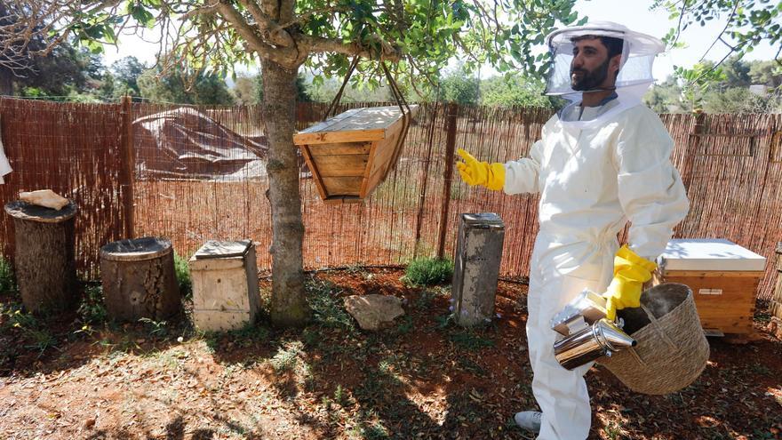 Exposición sobre apicultura con elementos tradicionales y actuales en Can Muson