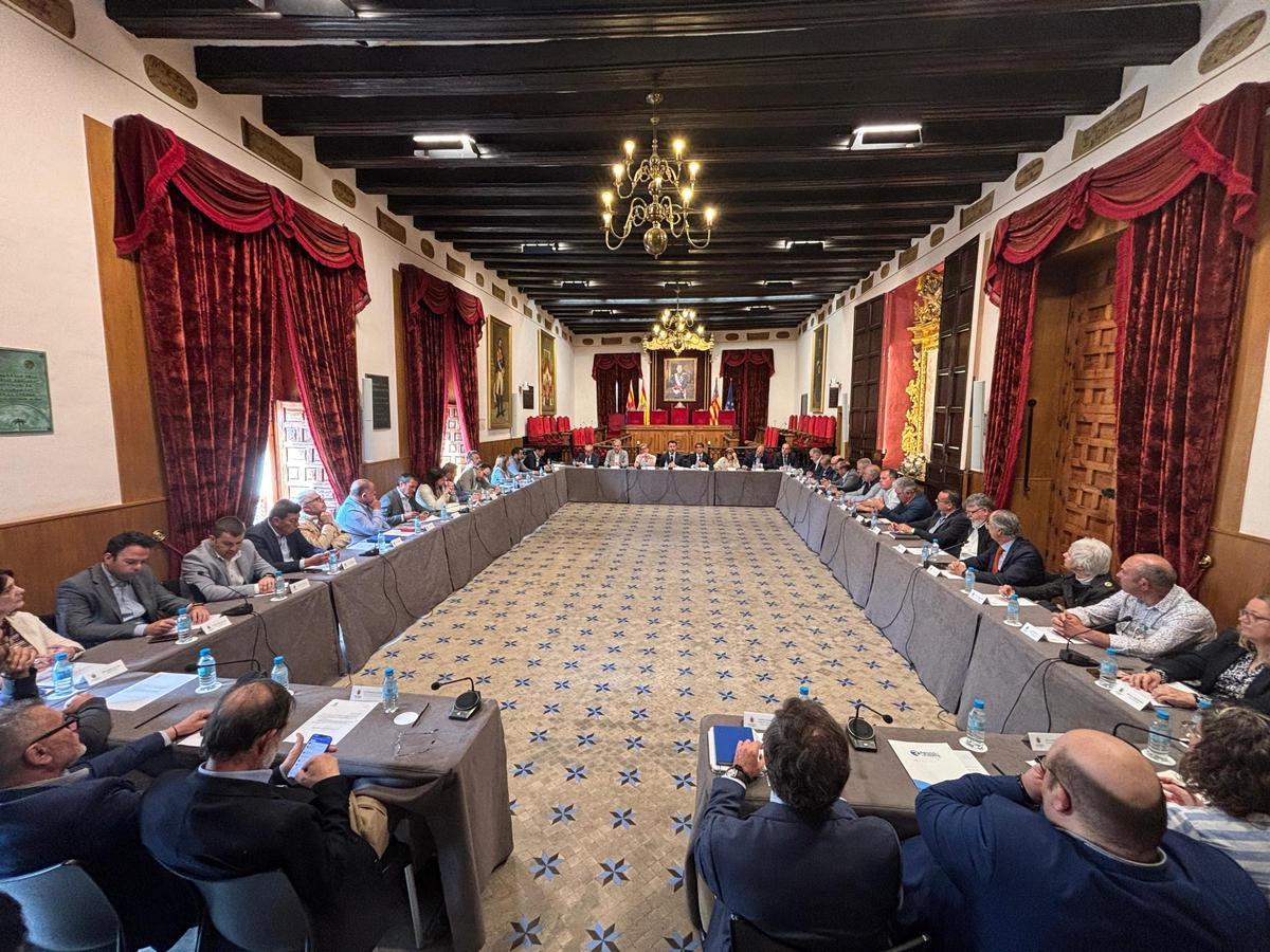 La Mesa del Agua se ha constituido hace unos minutos en el salón de plenos del ayuntamiento de Elche