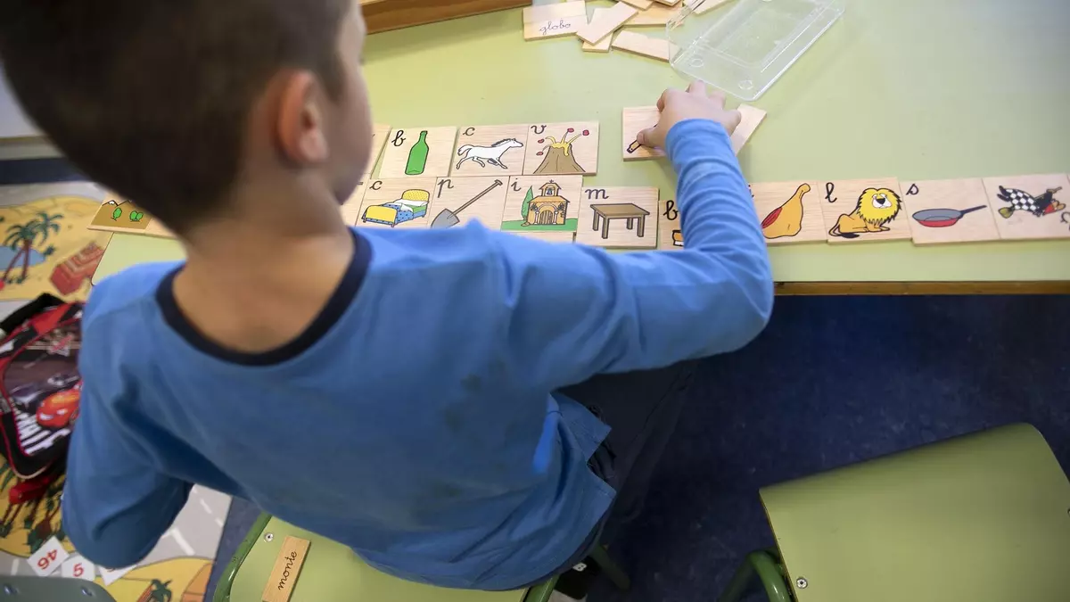 Educación achaca a la falta de fondos la supresión un programa de inclusión