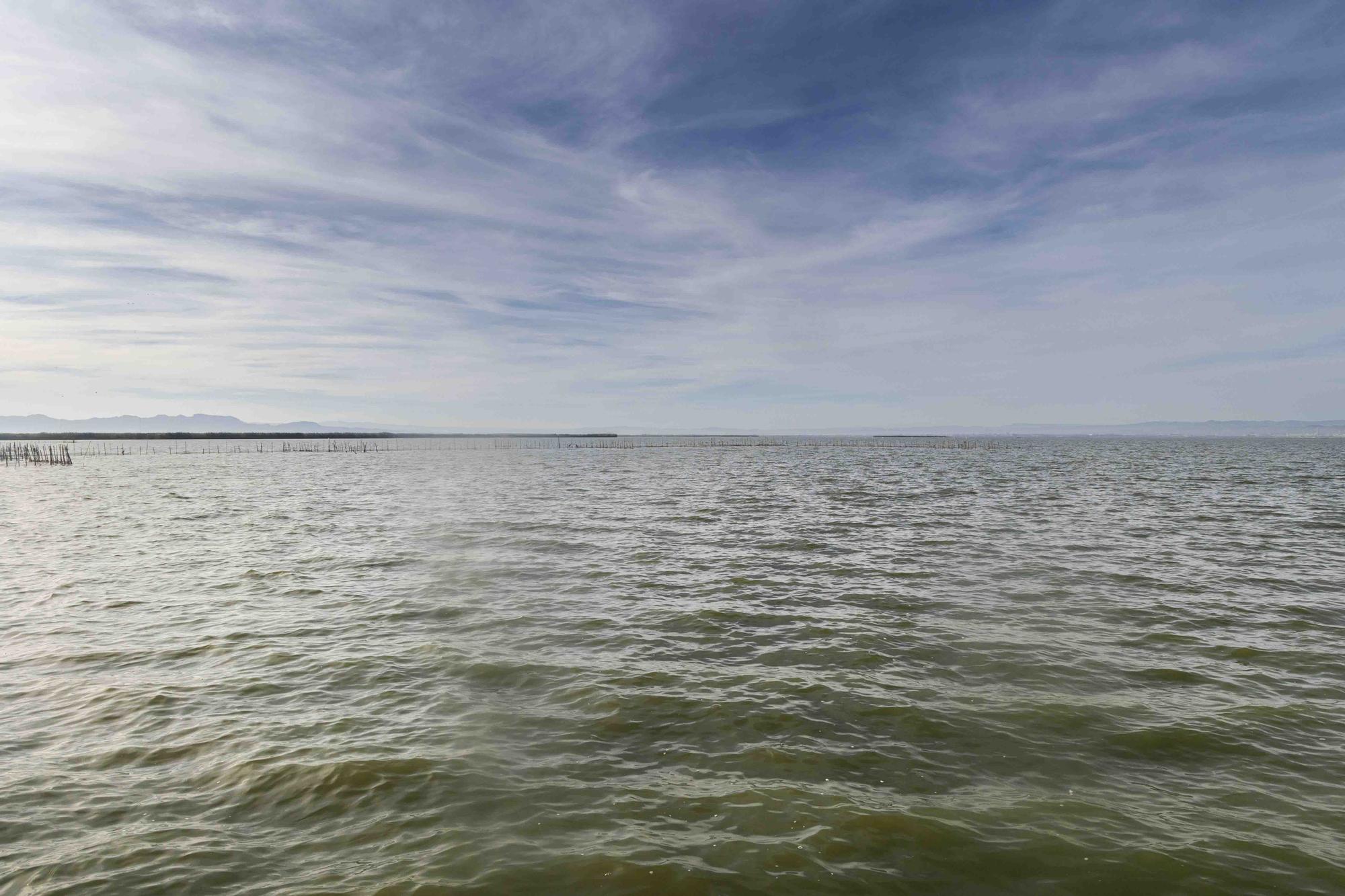 L'Albufera y su biodiversidad disfrutan de una caudal histórico