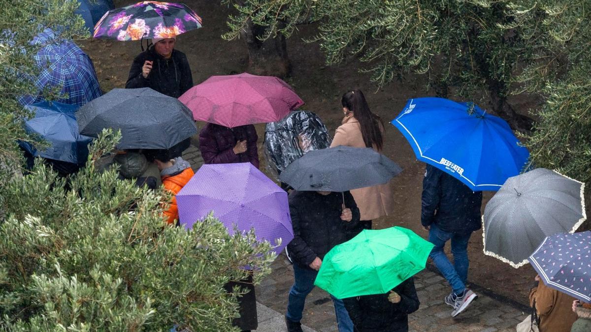 Paraguas en el parque de la Aljafería, este jueves