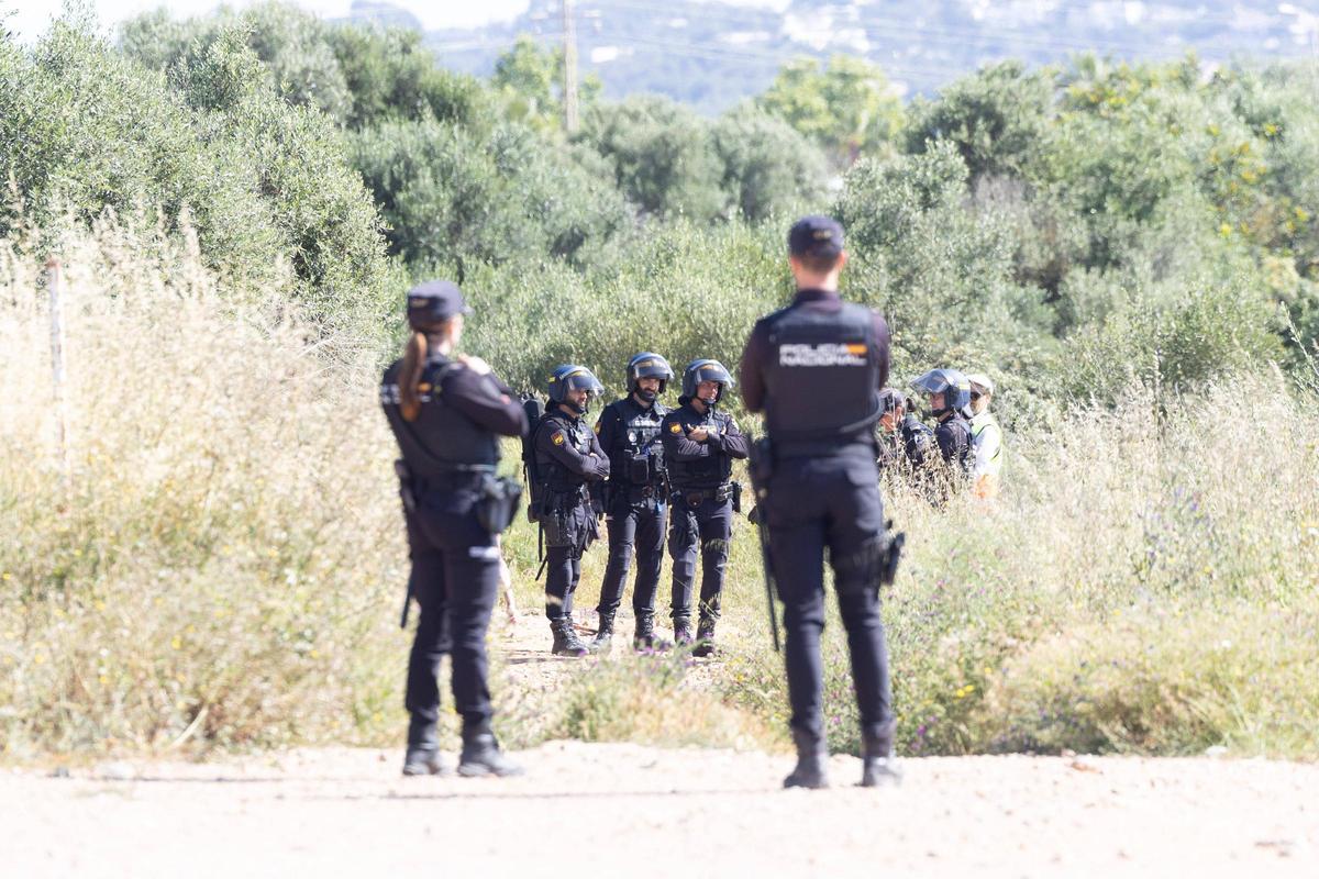 Todas las imágenes del desalojo del asentamiento más grande de Ibiza: sa Joveria