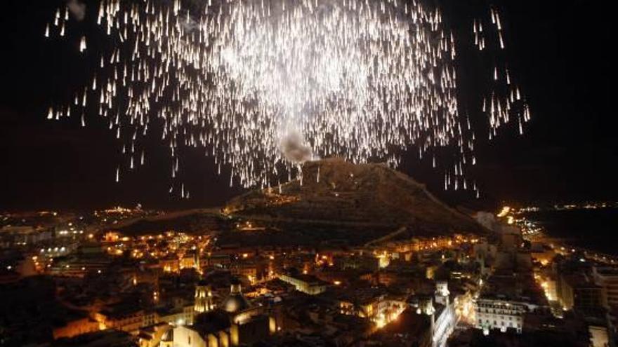 El área de Seguridad ha pedido que la palmera sea más recta para prevenir incendios.