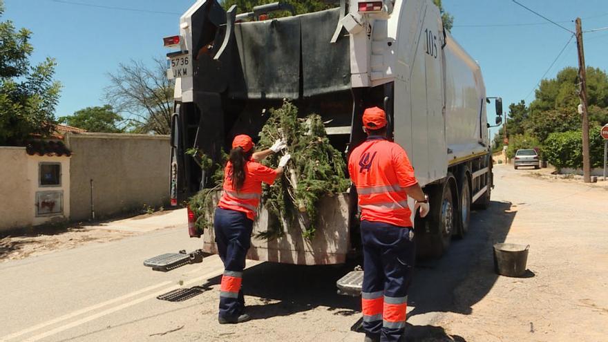 Servicio de recogida de restos de poda en la Pobla de Vallbona.