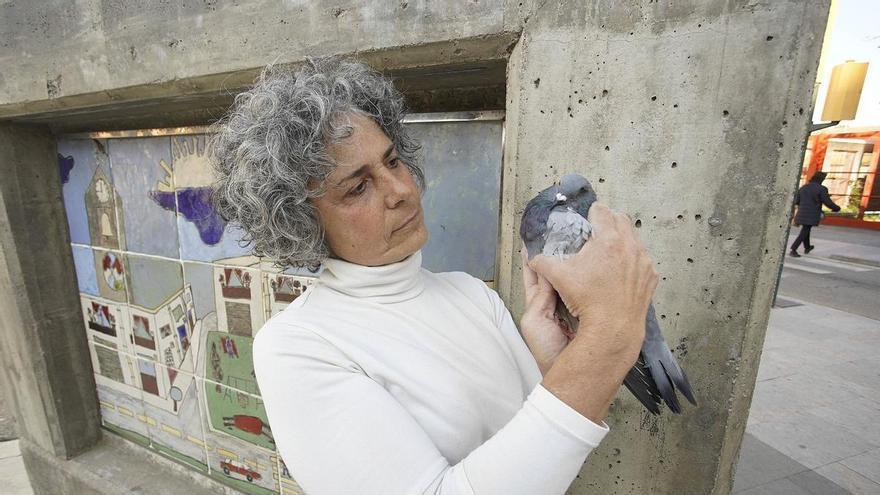 Una veïna de Salt multada amb 800 euros per donar menjar i beure a coloms