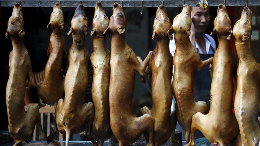 Piden prohibir un festival de carne de perro en China