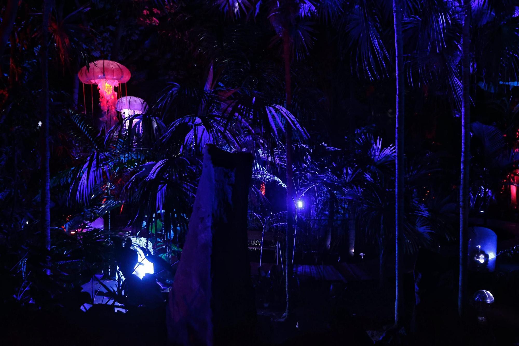 Montaje de Naturaleza Encendida en el Palmetum