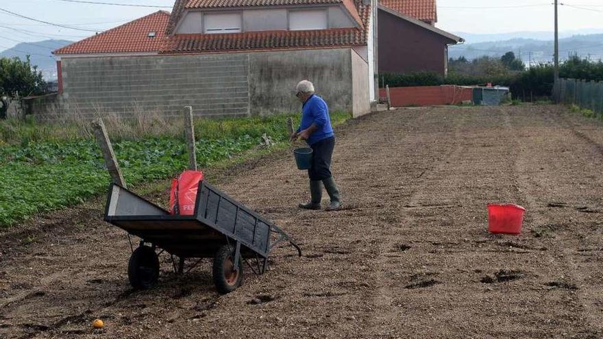 Un hombre echa semillas en una de sus fincas.