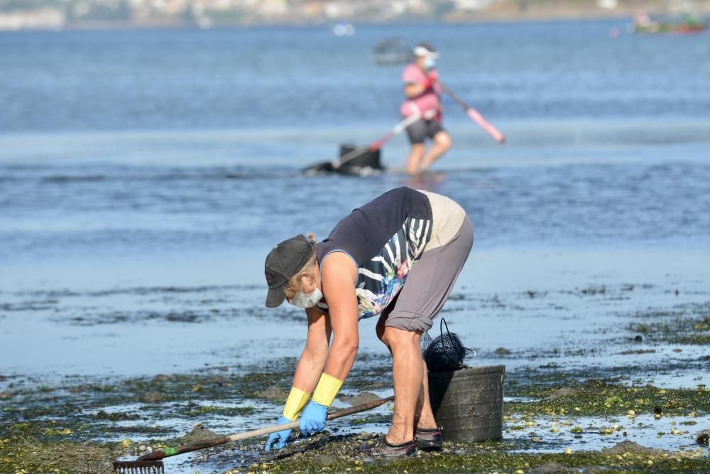 El marisqueo regresa a la ría de Pontevedra tras cuatro meses de parón