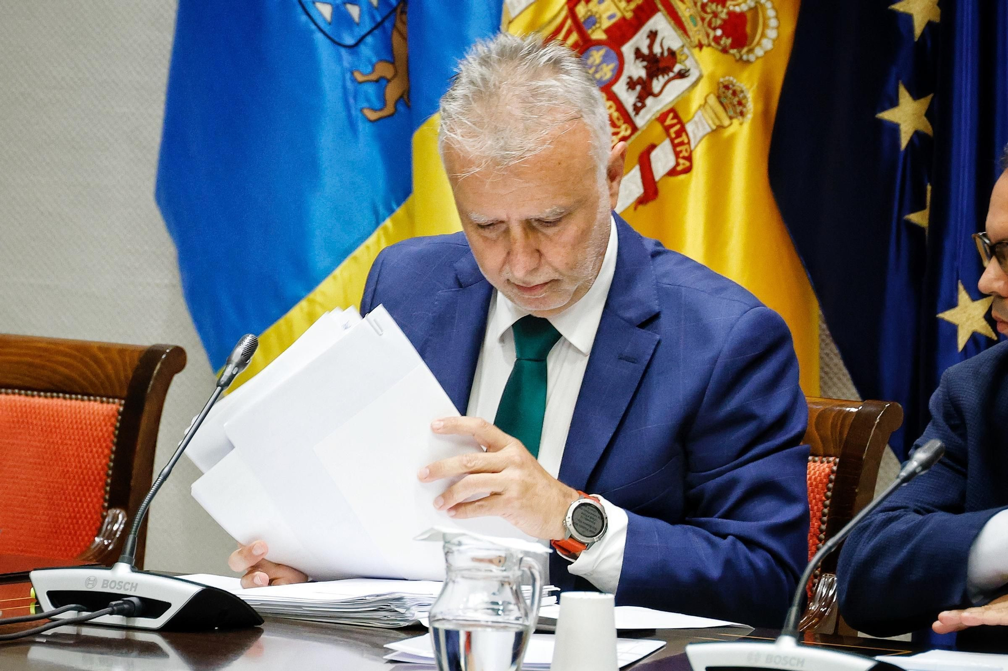 Comparecencia de Ángel Víctor Torres en el Parlamento de Canarias