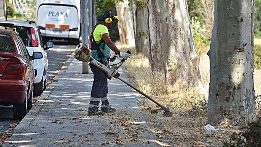 Tècnics tallant herbes en un carrer de la ciutat.