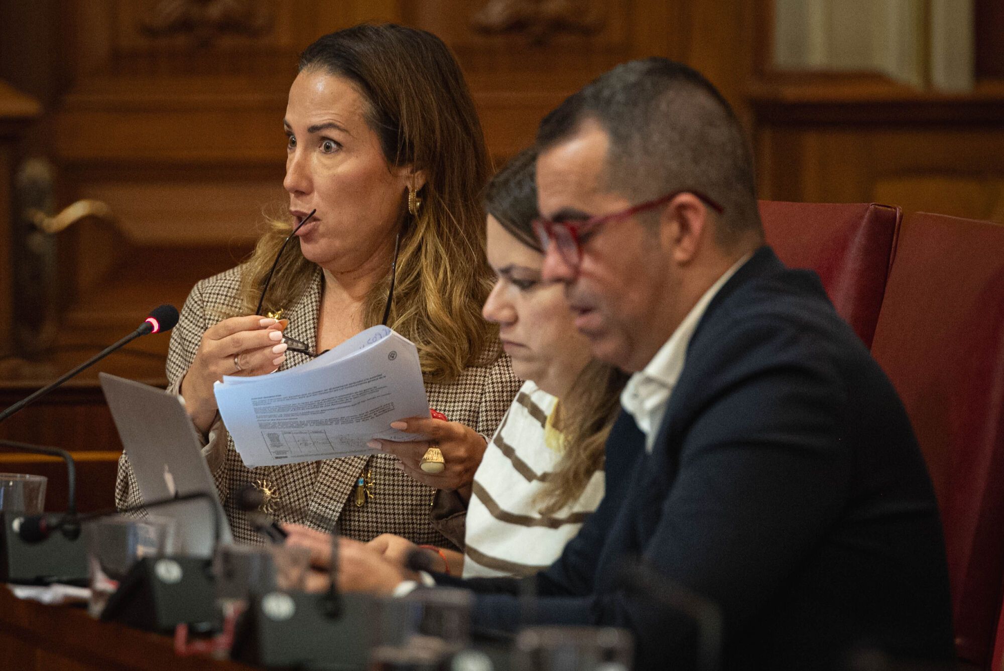 Pleno del Ayuntamiento de Santa Cruz