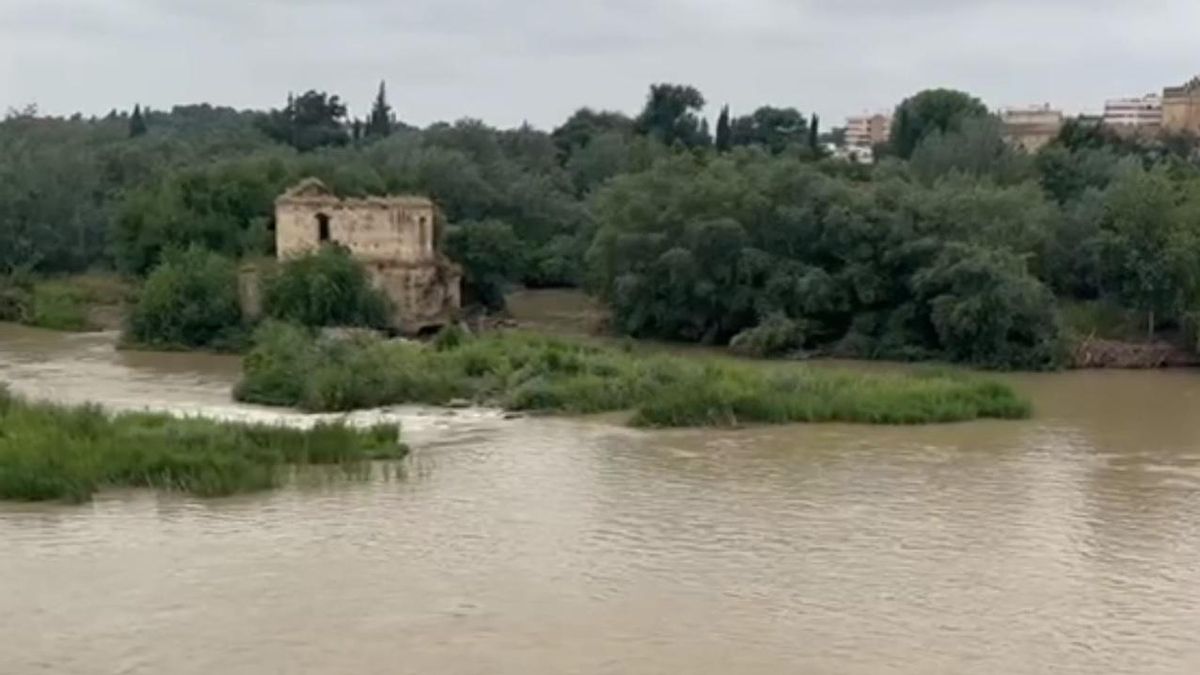 Así baja el río tras el chaparrón del martes.
