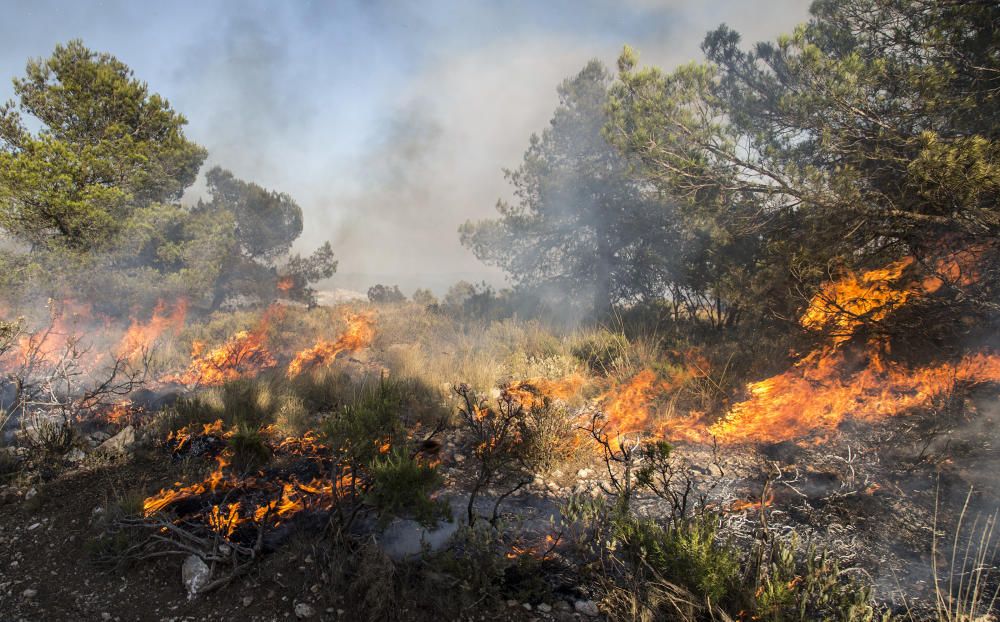 Efectivos trabajando en las labores de extinción