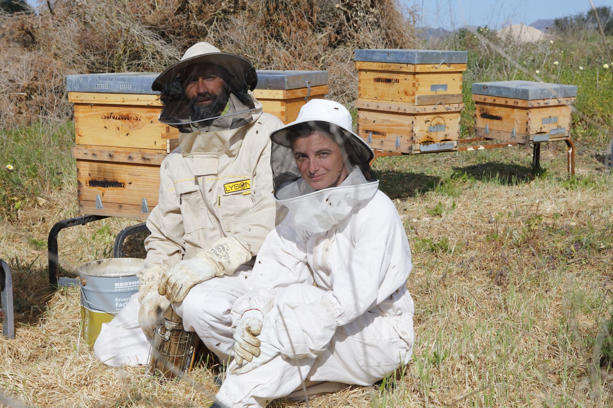 Die neue Mandelblüte und die alten Bienen