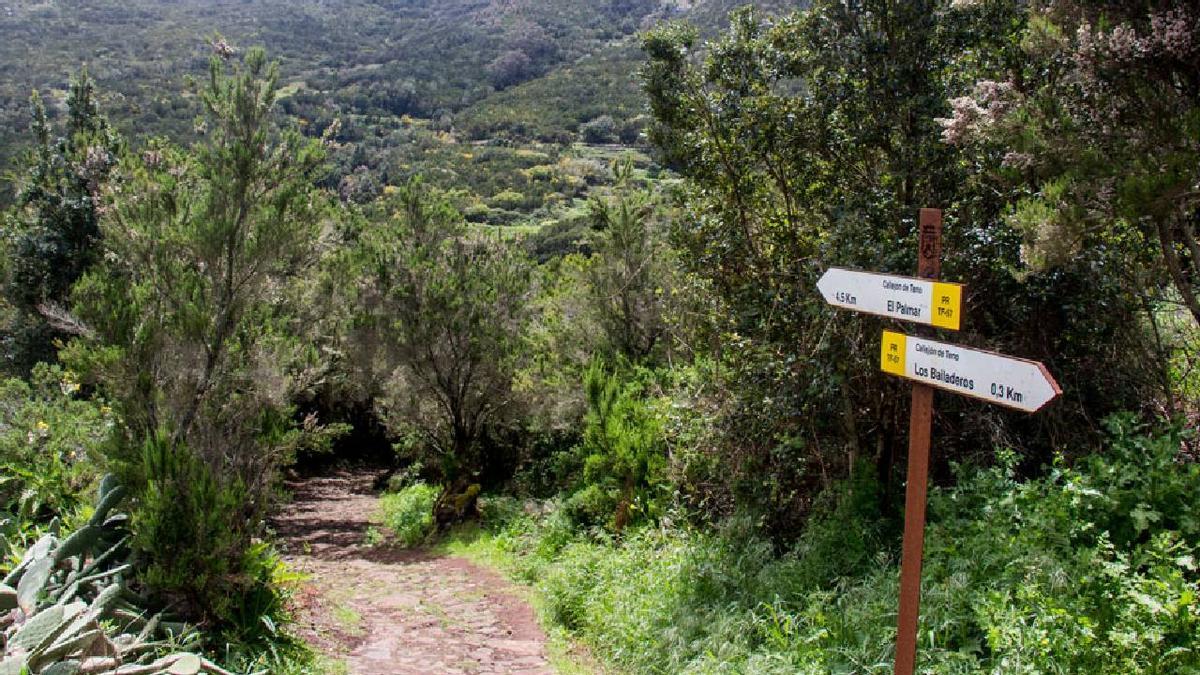 Este es el sendero de Tenerife que recuerda a la Comarca de los Hobbits