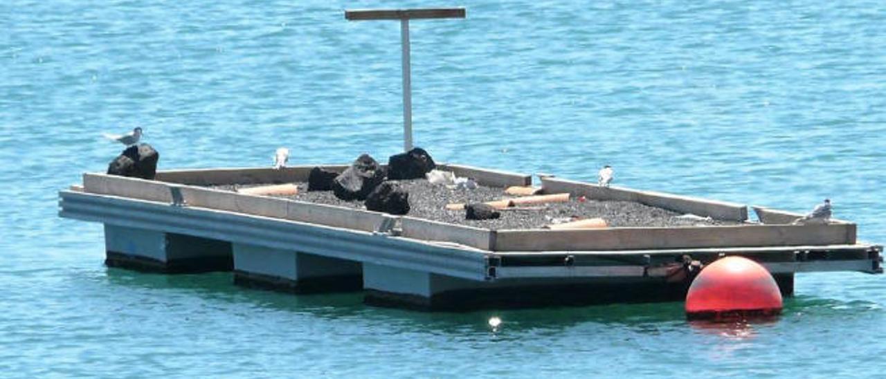 Arriba, una de las plataformas flotantes publicada en el facebook Birds of The Canary Island. Sobre estas líneas, obras en el frente marítimo.