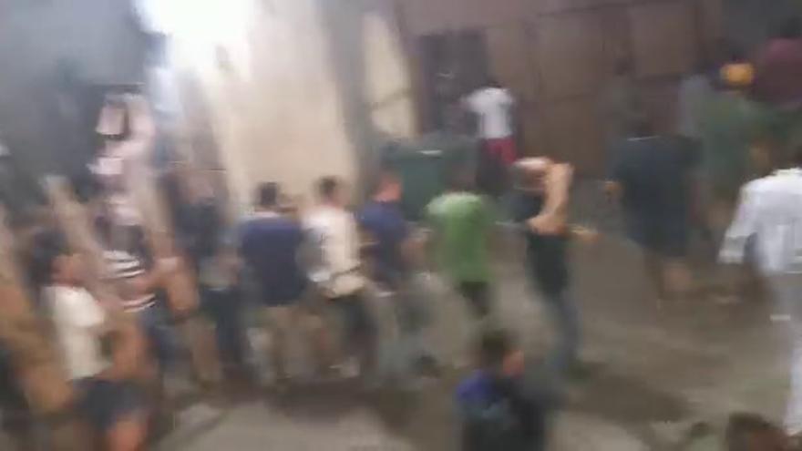 Una vaquilla crea alarma al escaparse de la plaza de Garrovillas de Alconétar