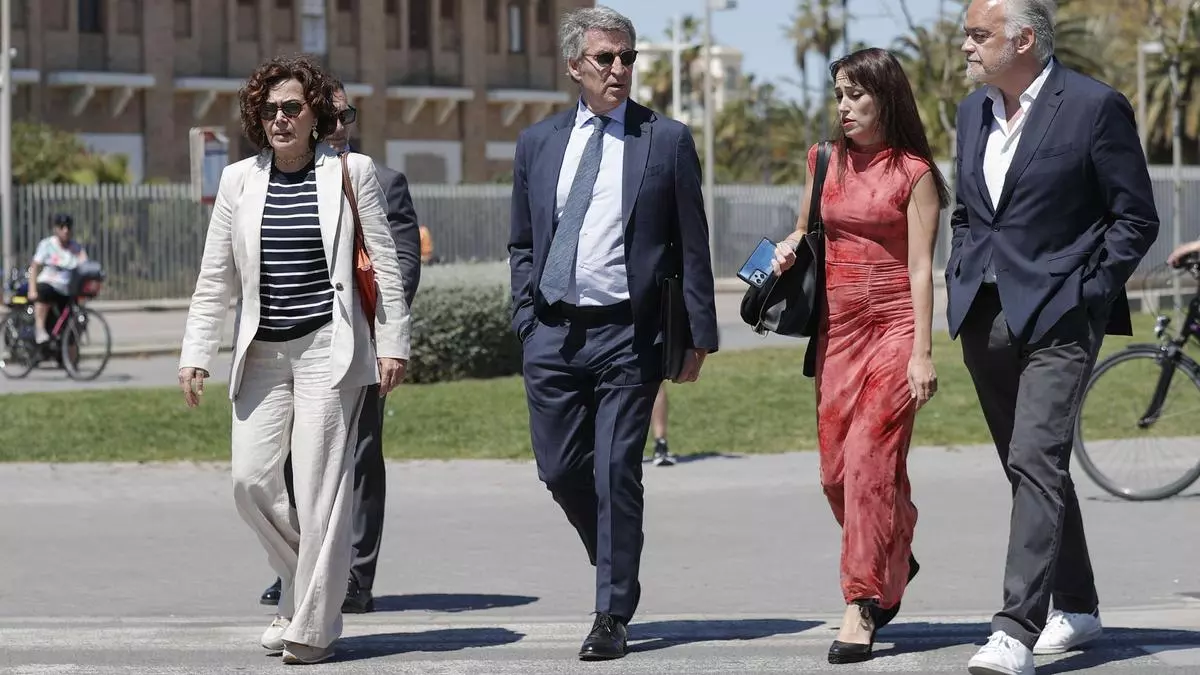 Feij車o pide al Gobierno que aclare "las vulnerabilidades" del sistema el谷ctrico para que Espa?a no vuelva a "colapsar"