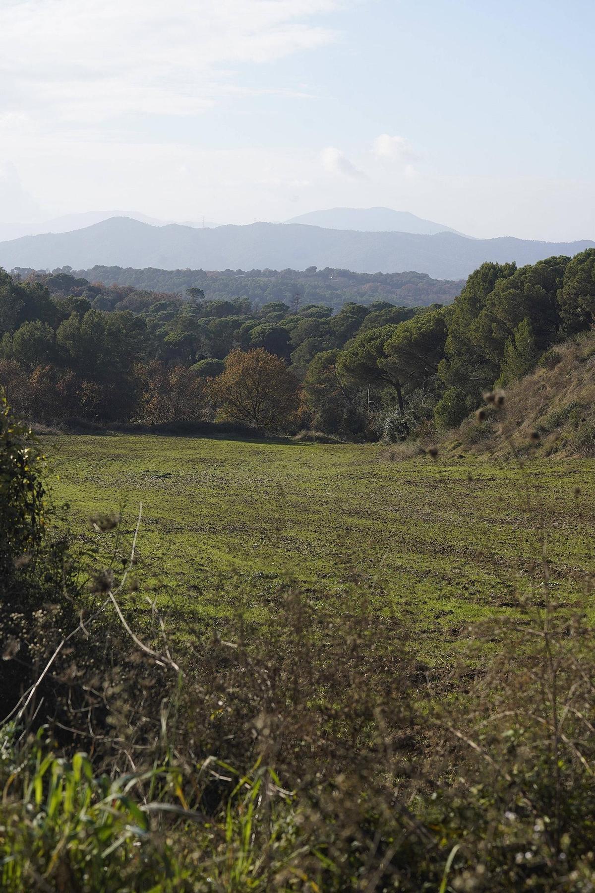 251217DDG_Marc Mart (228696828)