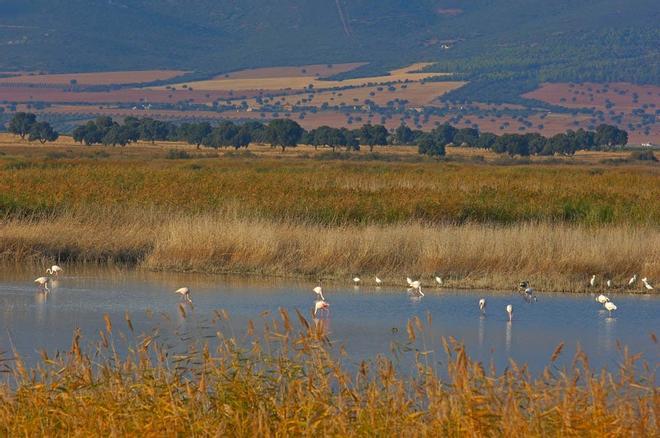 Tablas de Daimiel, España