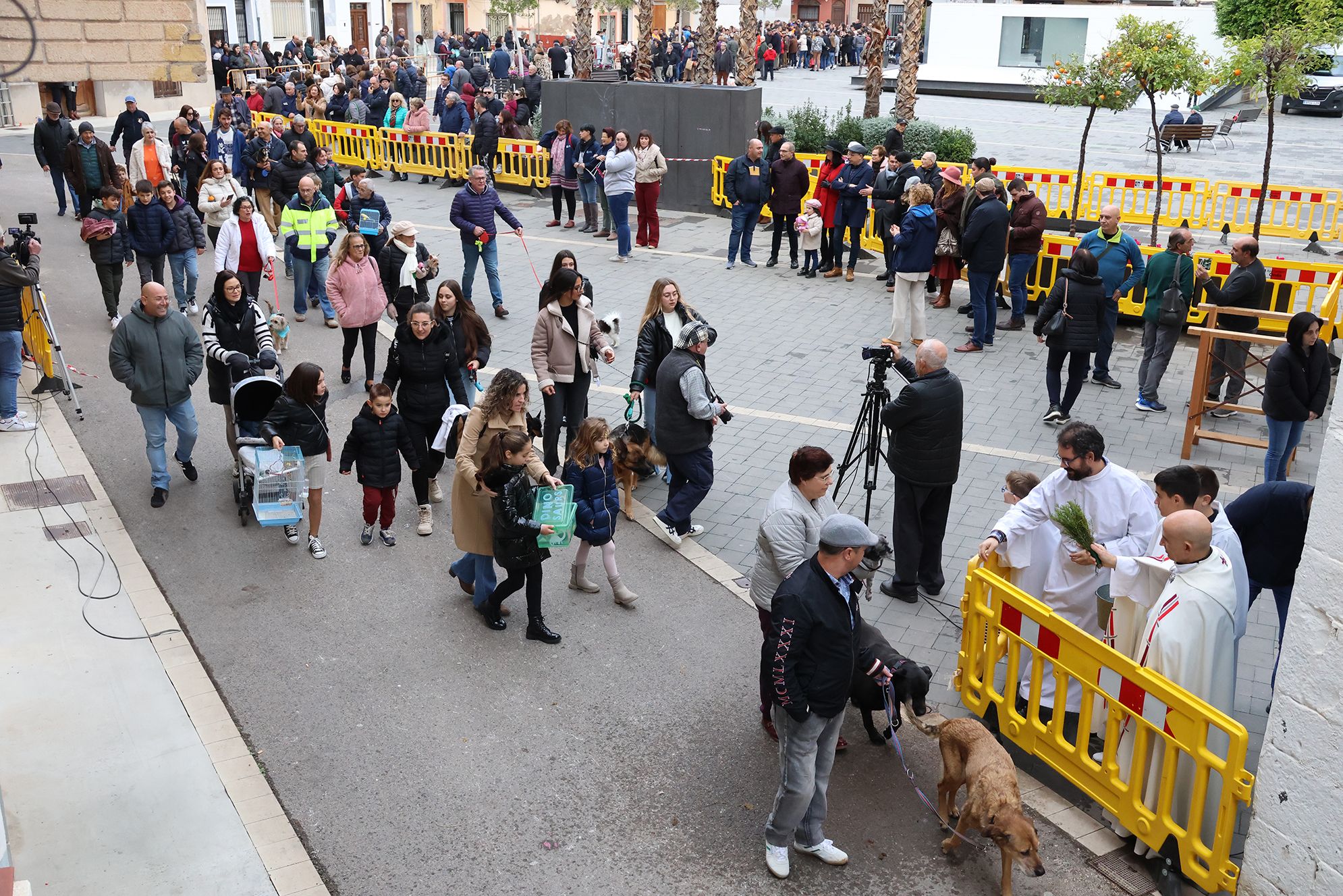 Así han celebrado centenares de personas Sant Antoni en Onda