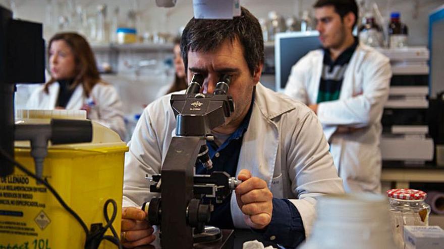 Detalle del laboratorio de uno de los grupos del IUOPA.