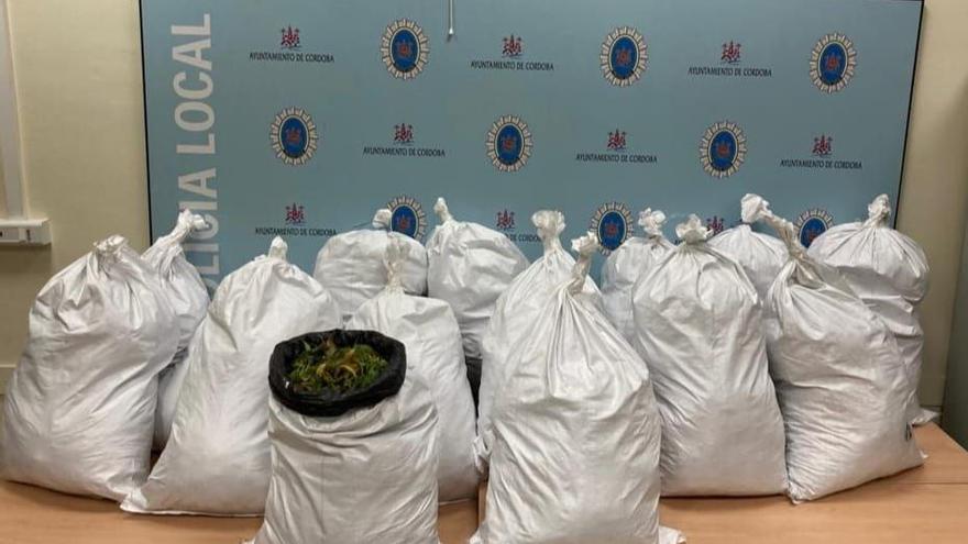 Imagen de la marihuana incautada por la Policía Local de Córdoba.