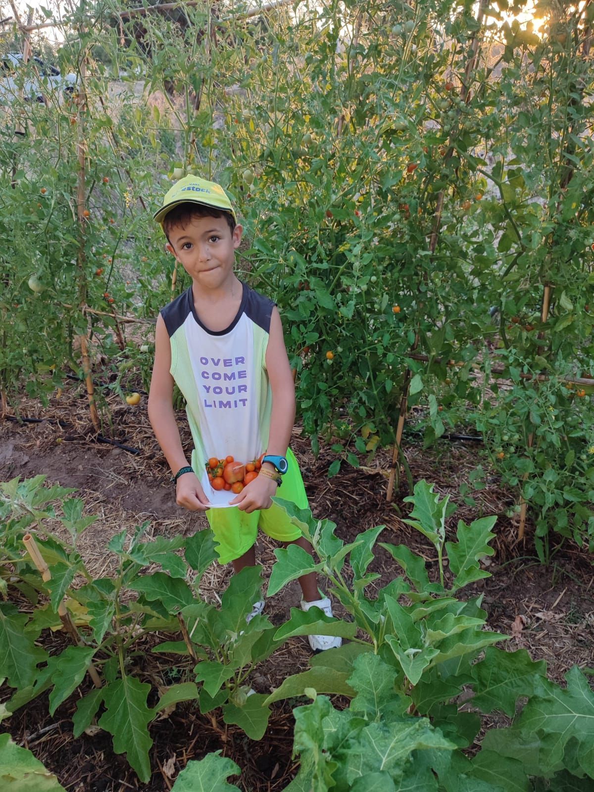 Un niño muestra los tomates que ha ido cogiendo en el huerto.