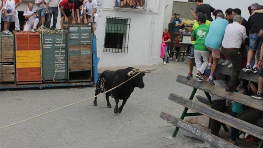 Masiva afluencia de visitantes al congreso nacional del toro de cuerda