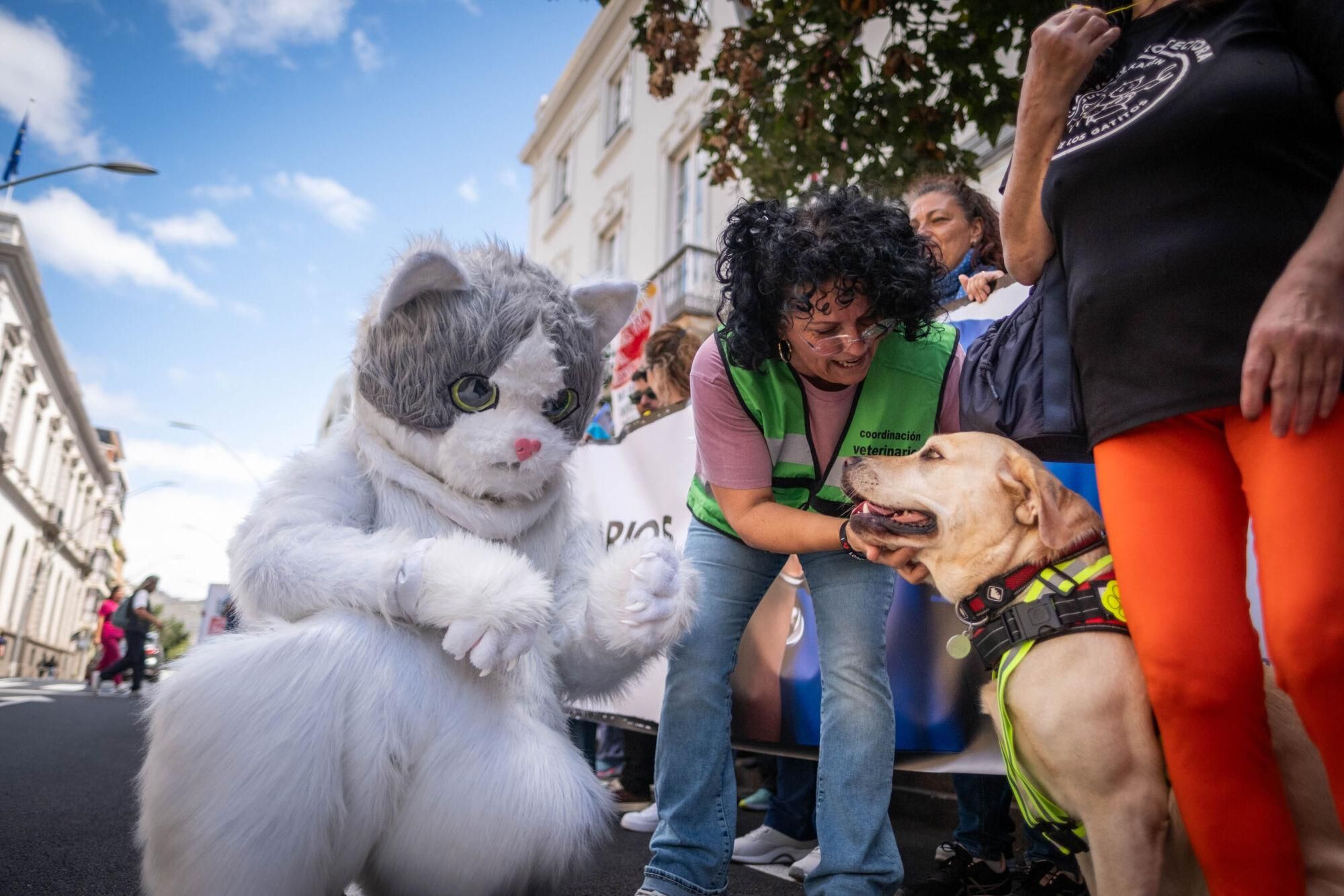 Los veterinarios  de Tenerife se manifiestan contra el decreto que les impide suministrar antibióticos a las mascotas.