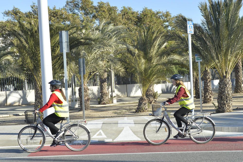 El carril bici en la avenida de la universidad