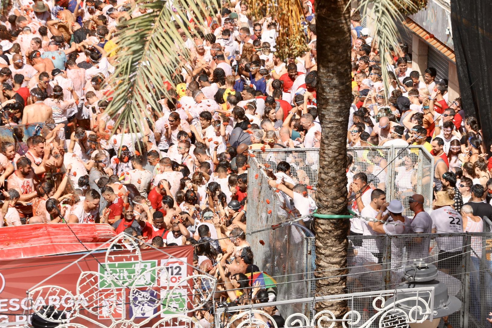 Fallas y Hogueras se empapan de Tomatina