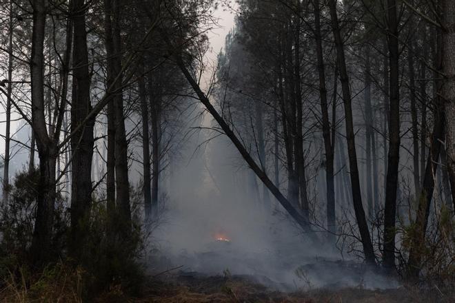 Francia empieza a recuperar la normalidad con el regreso de 84.000 evacuados tras los incendios de Gironda