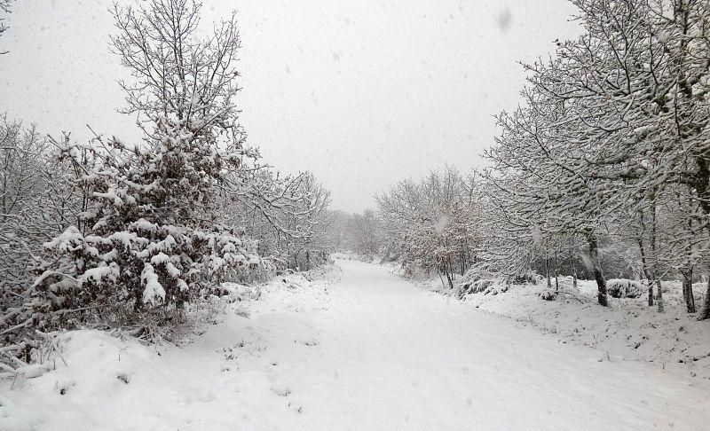 Nieve en Sanabria