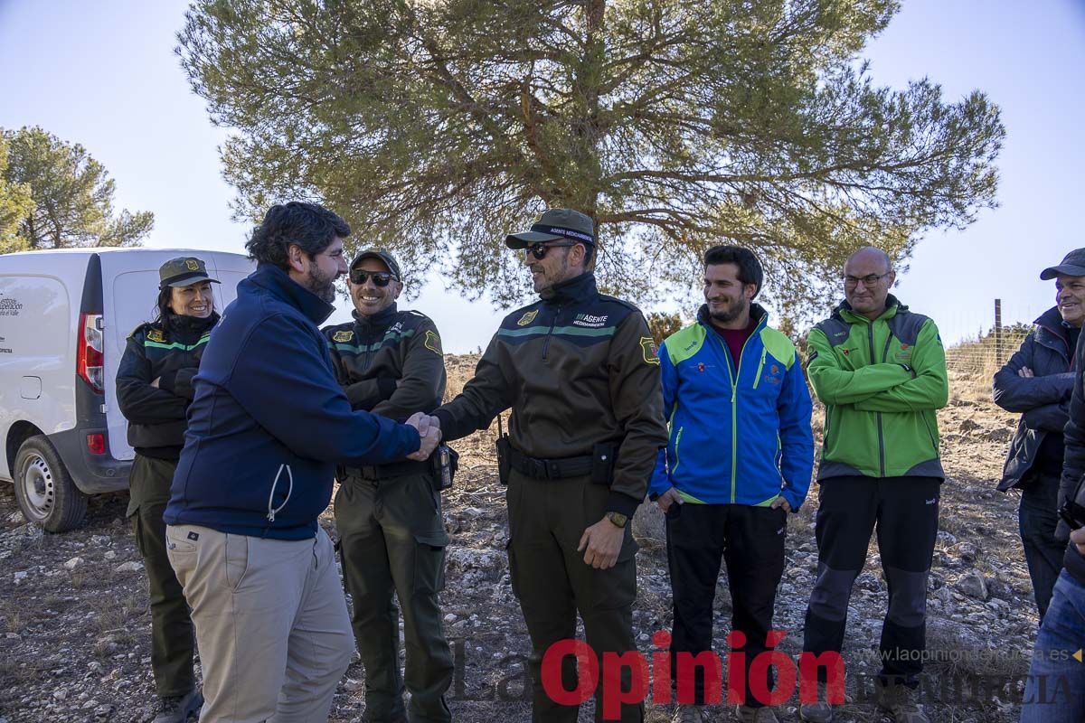 Suelta de dos buitres leonados en la Sierra de Mojantes en Caravaca