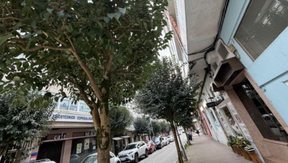 Árboles rozando los edificios en la céntrica avenida de Marín