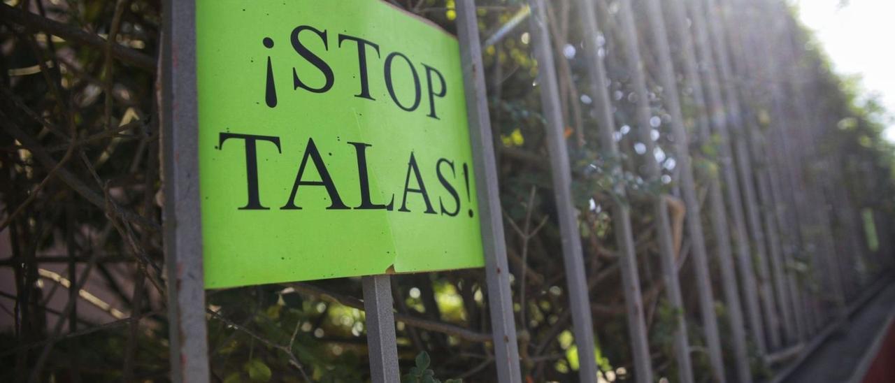 Un cartel contra la tala de árboles en La Laguna.