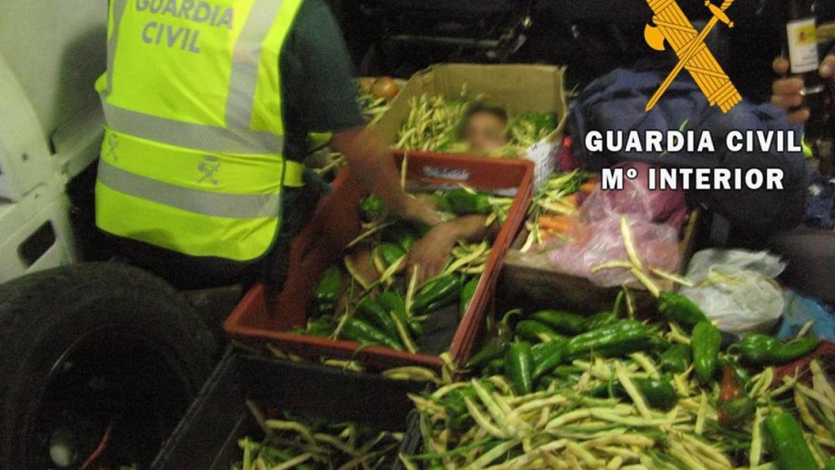 Auxiliado un inmigrante que viajaba oculto en una caja de hortalizas