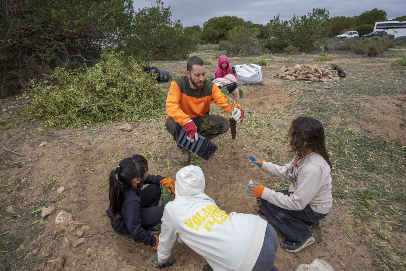 Jornada escolar plantación de especies autóctonas junto al parque natural de las lagunas de Torrevieja y La Mata